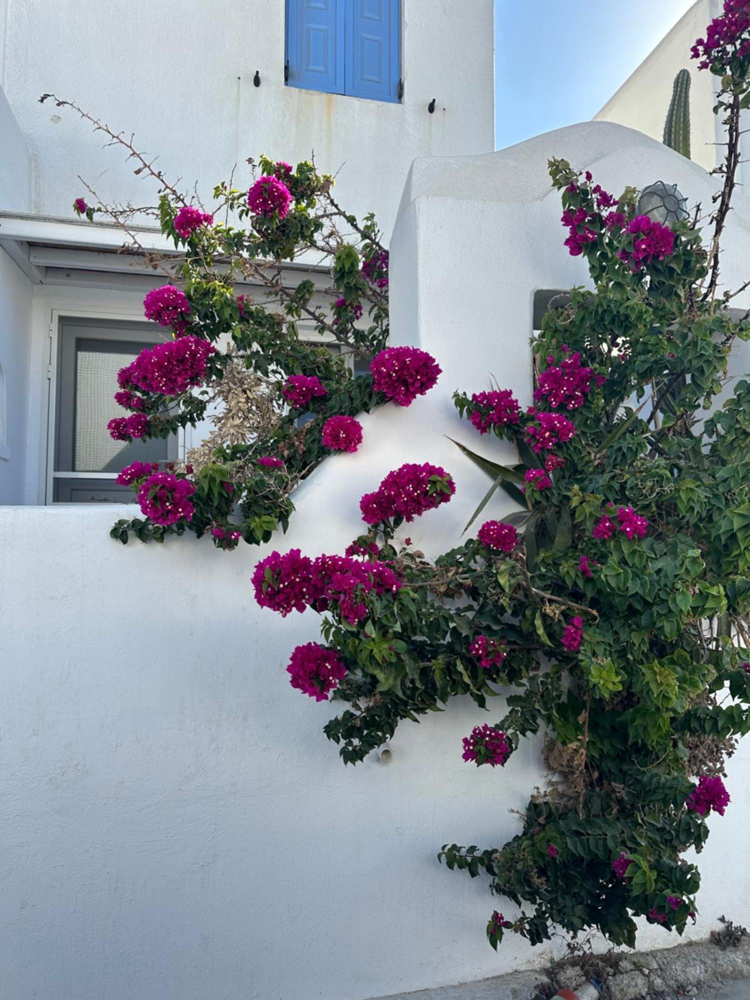 Casaornos Βίλα Εξωτερικό φωτογραφία